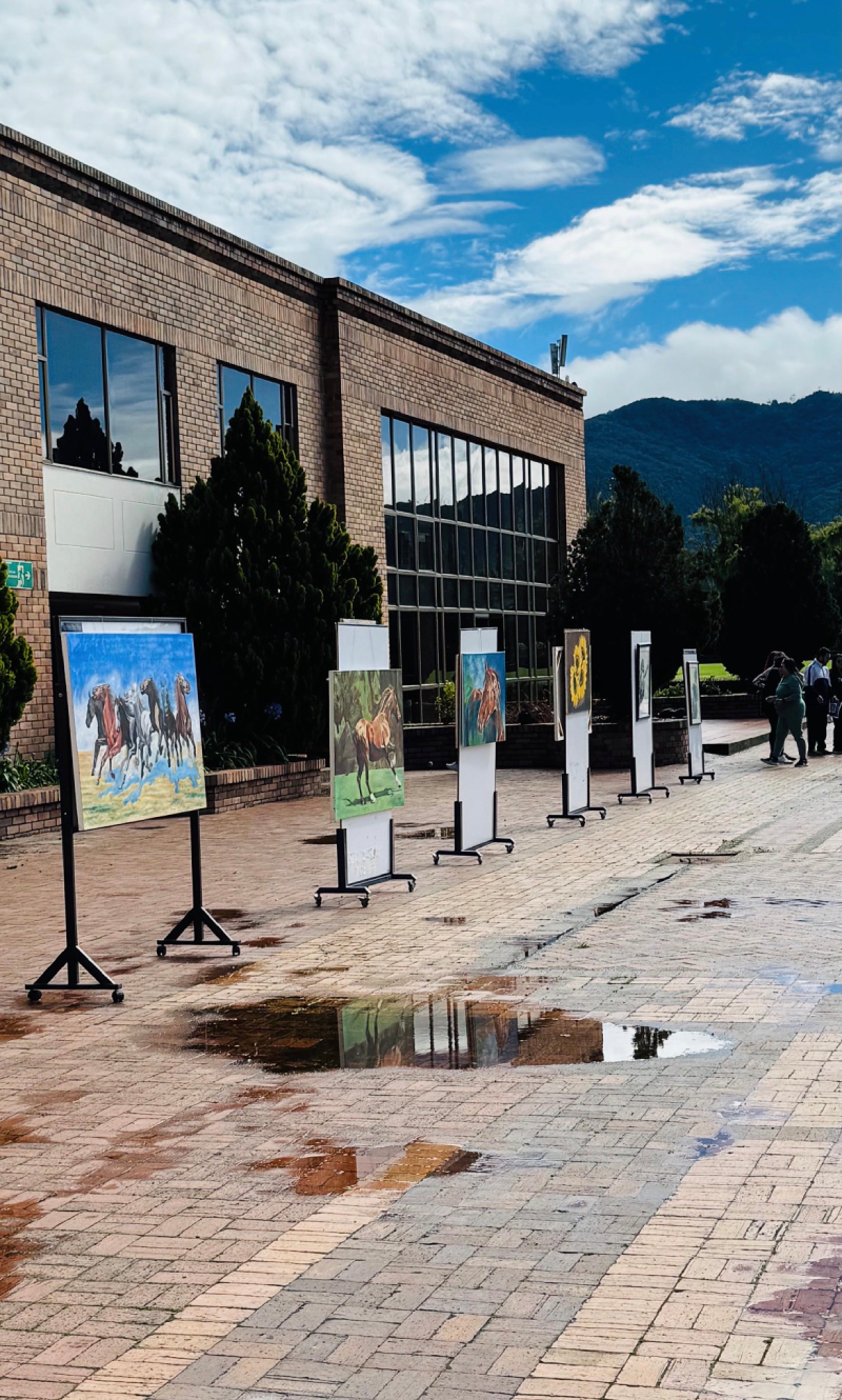 Exposición de Arte - Campus San Alberto Margno